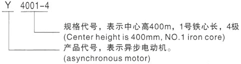 西安泰富西玛Y系列(H355-1000)高压YKK4005-6/280KW三相异步电机型号说明