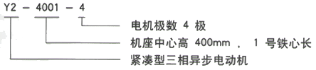 YR系列(H355-1000)高压YKK4005-6/280KW三相异步电机西安西玛电机型号说明